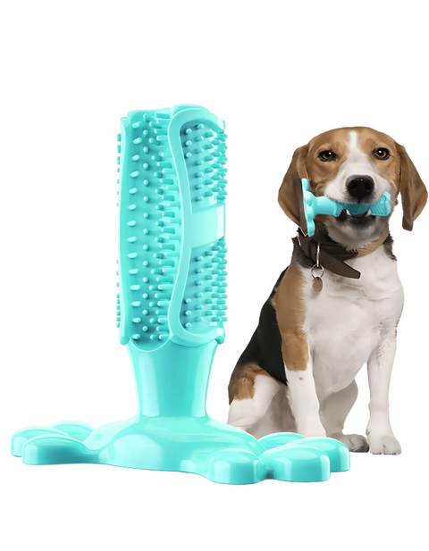 Brinquedo Limpa Dentes ChewyClean™ - Zona.pet