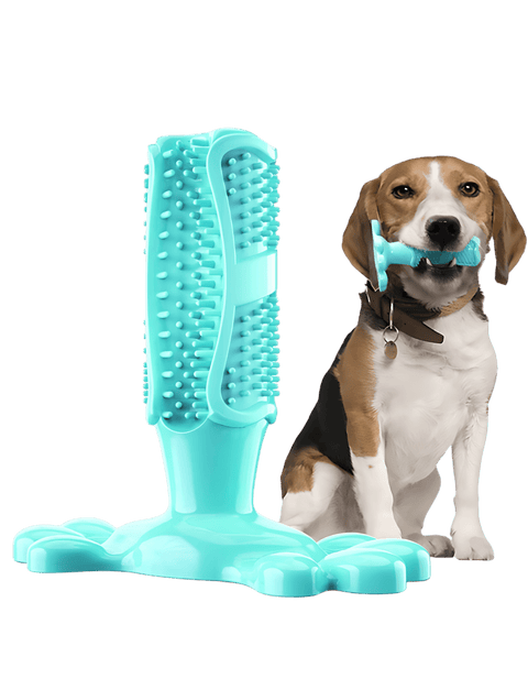 Brinquedo Limpa Dentes para Cães - Zona.pet