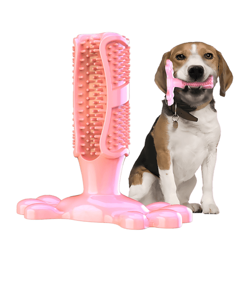 Brinquedo Limpa Dentes para Cães - Zona.pet